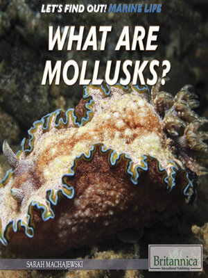 cover image of What Are Mollusks?